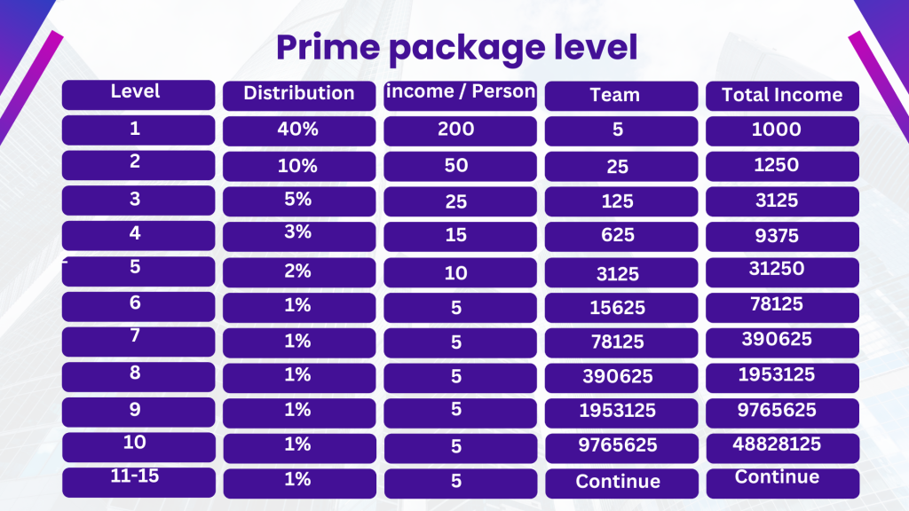 SVN Pay plan
