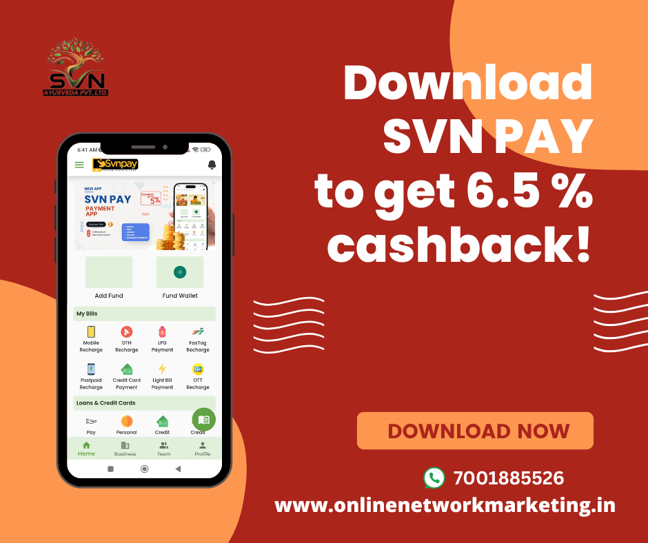 SVN Pay download